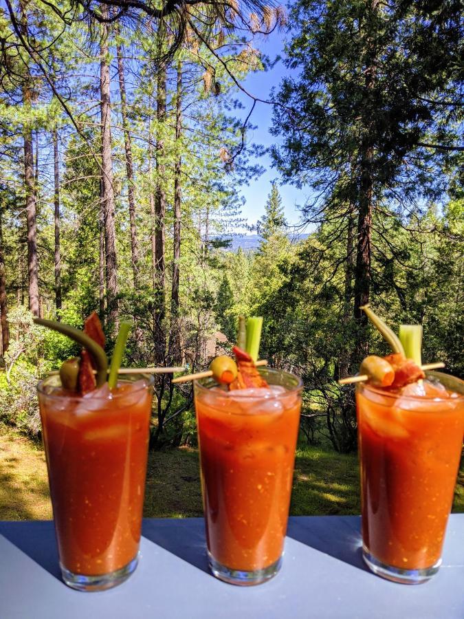 Breckenridge Chalet Near Yosemite. Dog Friendly! Groveland Esterno foto