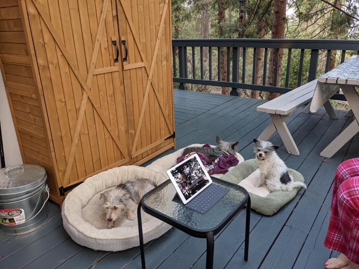Breckenridge Chalet Near Yosemite. Dog Friendly! Groveland Esterno foto